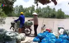 Nông dân Cù lao Mây góp rau củ gửi TP Hồ Chí Minh