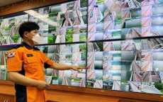 Trí tuệ nhân tạo ngăn chặn tự tử tại Hàn Quốc