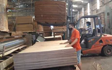 Hoa Kỳ gia hạn ban hành kết luận chống lẩn tránh thuế với gỗ dán Việt Nam