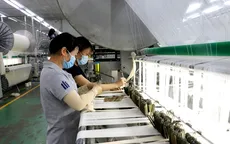 Thêm mô hình “4 xanh” cho doanh nghiệp TP Hồ Chí Minh