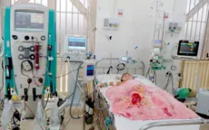 Cứu sống bé 5 tuổi nguy kịch tính mạng do bị ong đốt