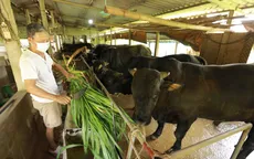 Hà Nội linh hoạt phân khu, “vùng xanh” bắt nhịp sản xuất