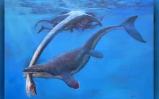 Khủng long Mosasaur - "quái vật biển" dài hơn 5m thống trị đại dương cổ đại