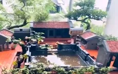 Góc yên bình giữa lòng thành phố