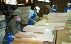 Đề xuất hạn chế đầu tư nước ngoài mặt hàng gỗ dán, tủ bếp