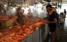 Giá lợn hơi giảm sâu, người chăn nuôi lỗ nặng
