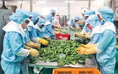 Ngành nông nghiệp kiến nghị Chính phủ hỗ trợ khôi phục sản xuất