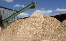 Xuất khẩu dăm gỗ đạt hơn 1 tỷ USD trong 7 tháng