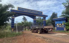 Tai nạn trong khu du lịch sinh thái, 5 người thương vong