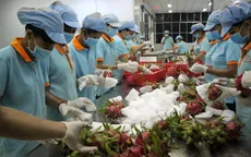 Nghiên cứu đưa thanh long vào làm rượu, mì tôm