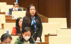 Cho phép tư nhân tham gia đầu tư truyền tải điện: Cần có quy định để quản lý chặt giá điện