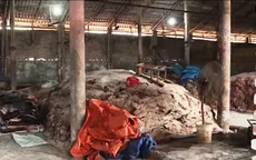 Ô nhiễm, bốc mùi hôi thối ở cơ sở chế biến da trâu, da bò xuất khẩu ngay tại Hà Nội