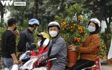 Đào, quất rộn ràng xuống phố