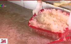 Cơ sở chế biến thủy sản truyền thống: Buồn lo ngày cận Tết