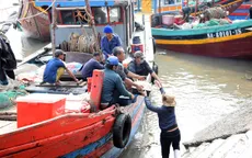 Ngư dân miền Trung bội thu ngày đầu năm mới
