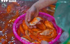 Nhộn nhịp khu chợ buôn bán “phương tiện” cho các Táo ngày về chầu Trời