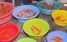 Người dân Hà Nội tất bật chuẩn bị ông Công, ông Táo