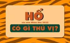 Hổ của năm Nhâm Dần 2022 có điều gì thú vị?