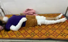 Nghệ An: Dựng cây nêu đón Tết, 3 người bị điện giật nhập viện