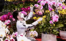 Chợ hoa Tết: Nơi “ế khách”, chỗ “cháy hàng”