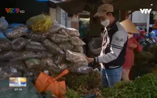 Rượu ngâm không rõ nguồn gốc- nỗi lo trong ngày tết