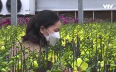 Nông sản Tết: Để không tồn kho, lo nhiều