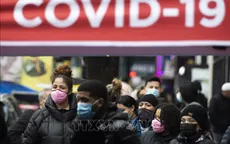 Chi phí bồi thường bảo hiểm do đại dịch lên tới 44 tỷ USD