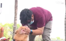 Cặp vợ chồng làm xe lăn cho chó, mèo khuyết tật ở TP Hồ Chí Minh