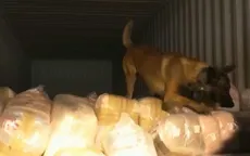 Bỉ thu giữ lượng cocaine kỷ lục năm 2021