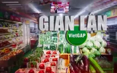 Rau VietGAP “rởm” tuồn vào siêu thị, đền bù thế nào cho người mua hàng?