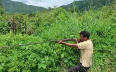 Bắn chết người khi đi săn vì tưởng là gà rừng