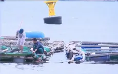 Khó di tản lao động trên lồng bè thủy sản khi bão về