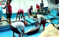 Kiểm soát nguồn gốc thủy sản từ các tàu khai thác