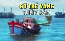 Hành động quyết liệt để gỡ bằng được "thẻ vàng" IUU