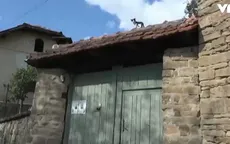 Những ngôi làng vắng bóng người tại Bulgaria