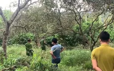 Điều tra 2 vụ người đàn ông tử vong trong rẫy cà phê