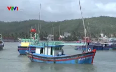Khẩn trương hỗ trợ, tìm kiếm các thuyền viên gặp nạn trên biển Phú Quý ​
