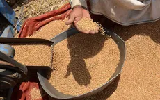 Mỹ kêu gọi G20 loại bỏ thuế quan với sản phẩm nông nghiệp