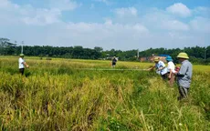 Hà Nội bổ sung chính sách bồi thường, hỗ trợ dự án Vành đai 4