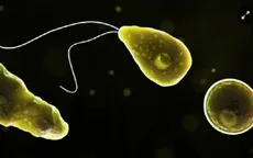 Một thiếu niên Mỹ tử vong do nhiễm amip ăn não người