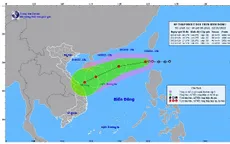 Áp thấp nhiệt đới giật cấp 8 đã đi vào Biển Đông