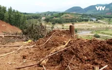 Nghịch lý trồng rừng làm gia tăng lũ lụt