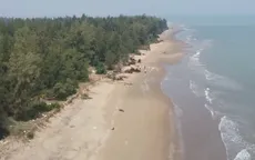 Sóng biển cuốn trôi rừng phi lao phòng hộ ven biển