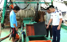 Liên tiếp bắt giữ tàu cá chở dầu DO không rõ nguồn gốc trên biển