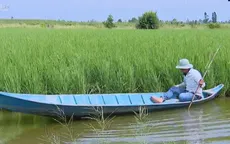 Làm giàu từ canh tác thuận thiên