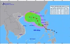 Bão số 7 giật cấp 12, có xu hướng mạnh dần lên