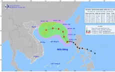 Bão số 7 di chuyển theo hướng Tây Tây Bắc, sau đó đổi sang hướng Bắc