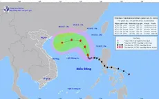 Bão số 7 di chuyển chậm, hướng lên phía Bắc