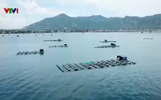 Xung lực mới cho vùng Bắc Trung Bộ và Duyên hải Trung Bộ
