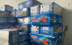 Phát hiện hơn 11 tấn rau, củ nhập lậu ở chợ Bình Điền